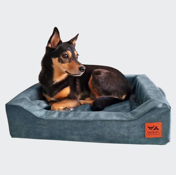 Velvet Azure Orthopaedic Sofa - Image 2