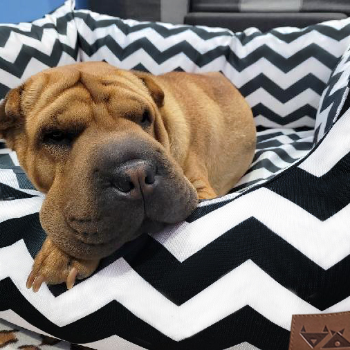 Black & White Zigzag Sofa Bed - Image 2