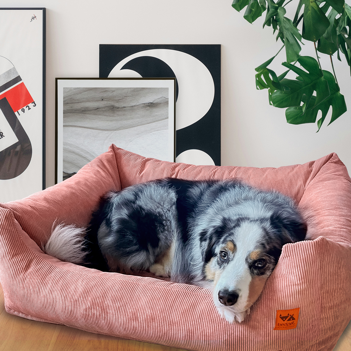 Salmon Corduroy Sofa Bed - Image 3