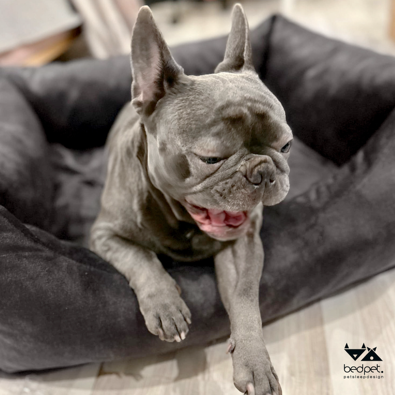 Velvet Anthracite Sofa Bed - Image 2