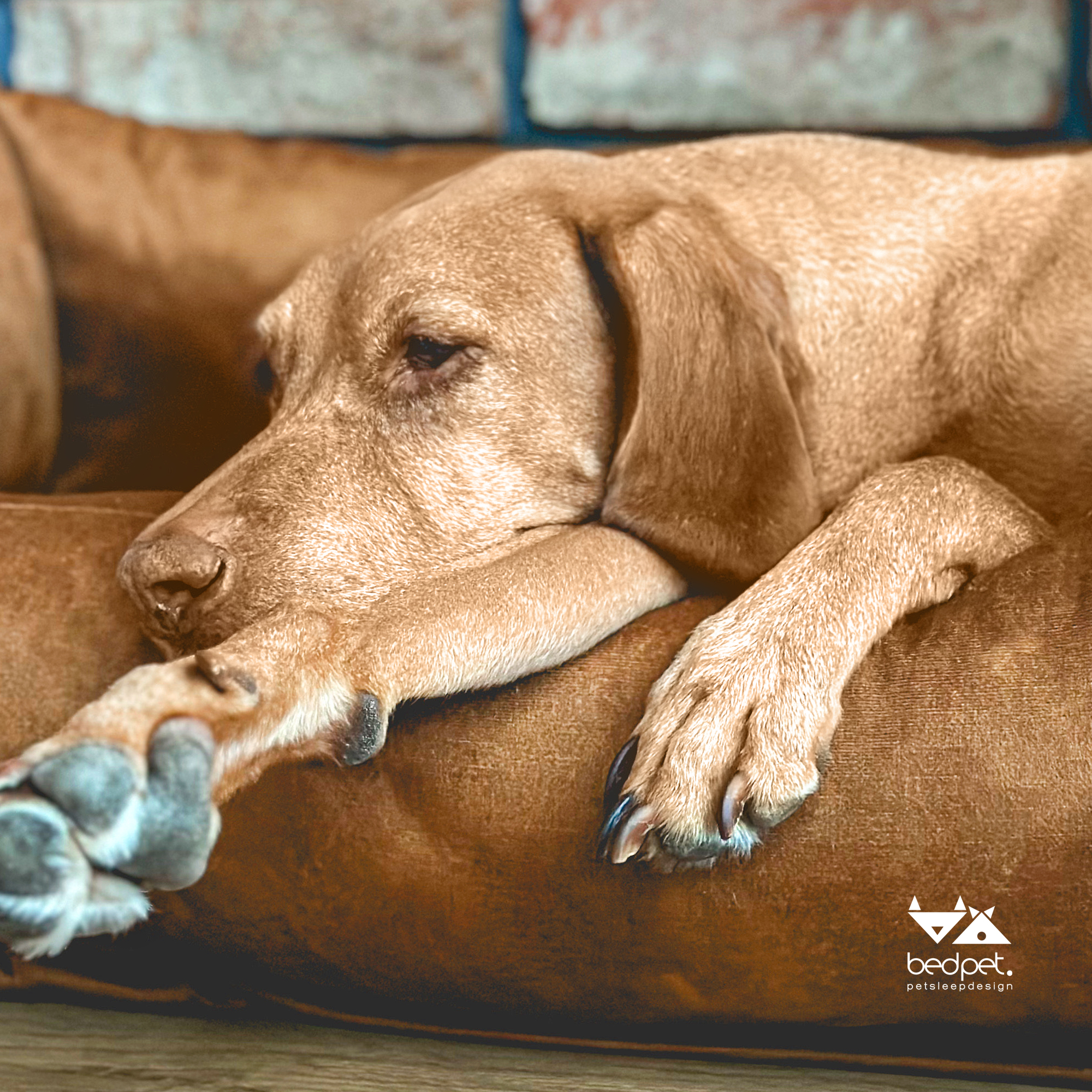 Velvet Smoked Honey Sofa Bed - Image 4