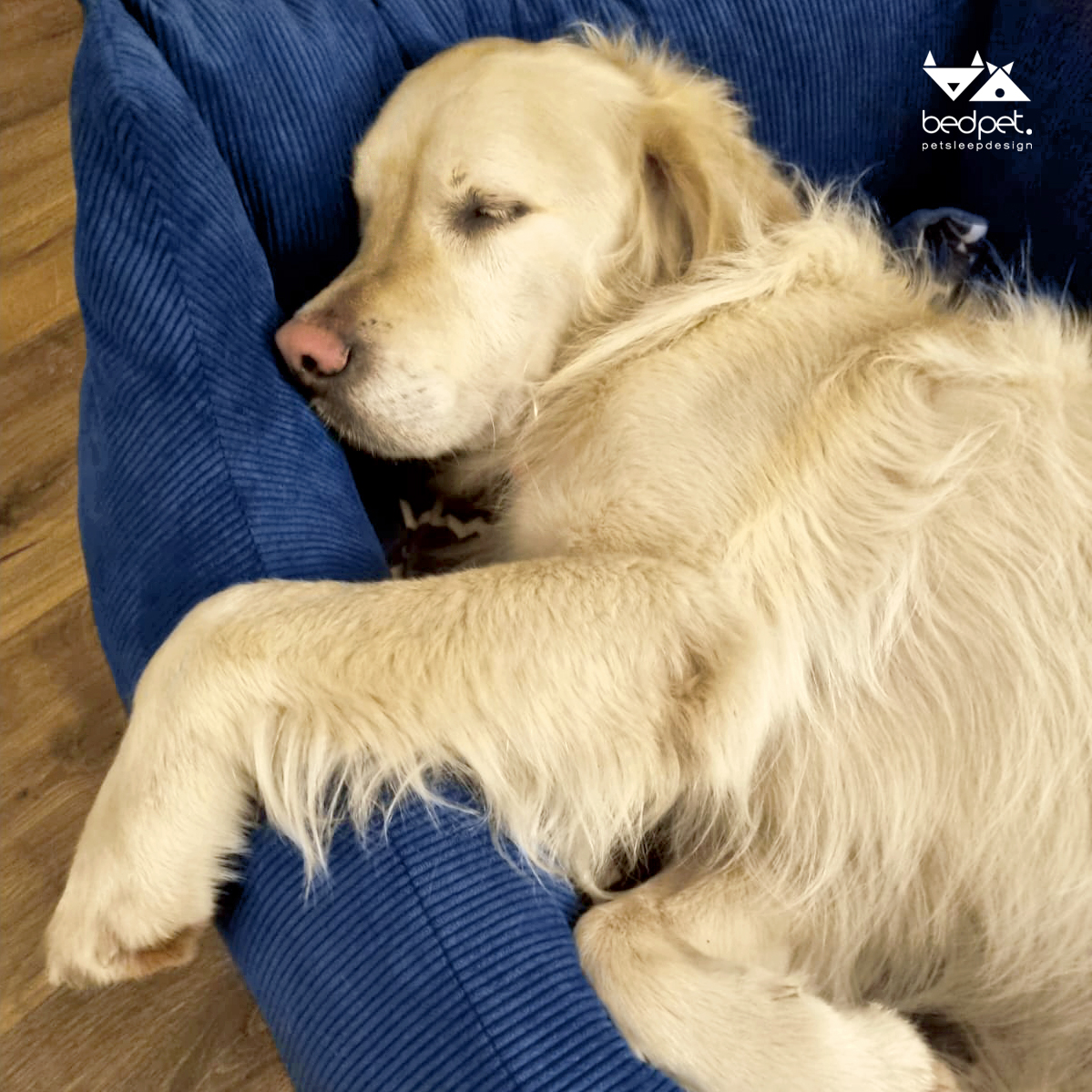 Ocean Corduroy Sofa Bed - Image 3